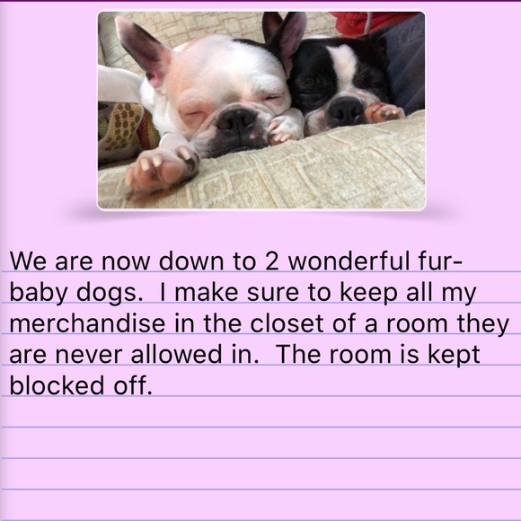 Meet The Posher 3.0! - Picture 7 of 12